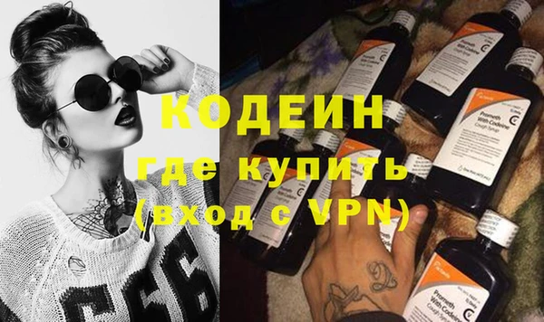 индика Касимов