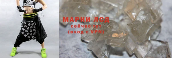 индика Касимов