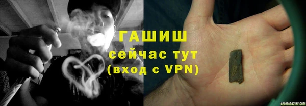 индика Касимов