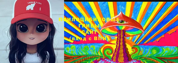 индика Касимов