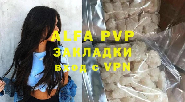 индика Касимов