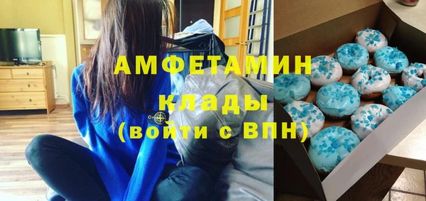 индика Касимов