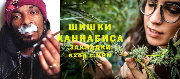 индика Касимов