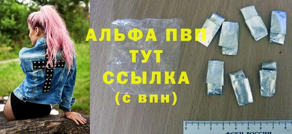 индика Касимов
