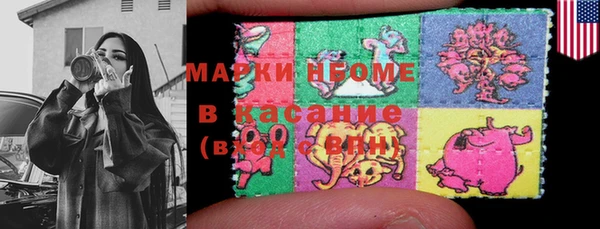индика Касимов