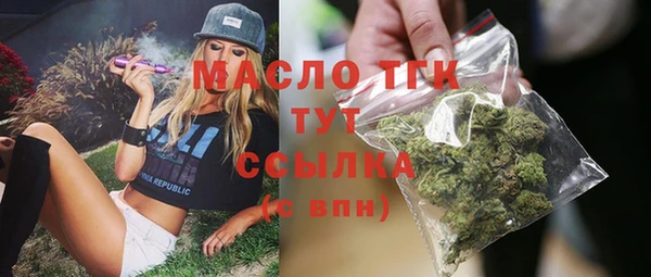 индика Касимов